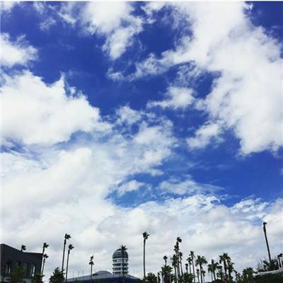 开间厕所当老板