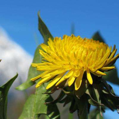 十堰地产网下载